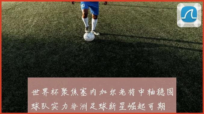 世界杯聚焦塞内加尔老将中轴稳固球队实力非洲足球新星崛起可期
