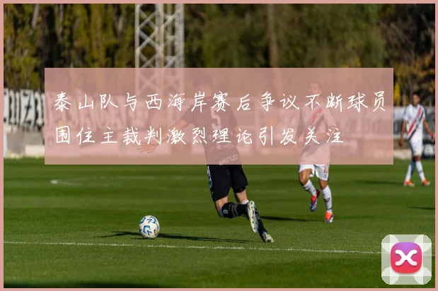 泰山队与西海岸赛后争议不断球员围住主裁判激烈理论引发关注