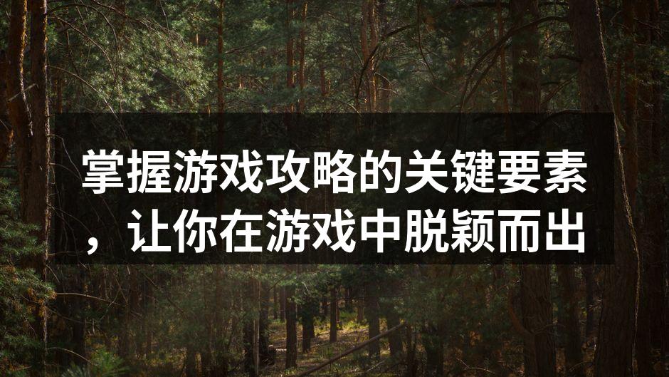 掌握游戏策略的关键要素